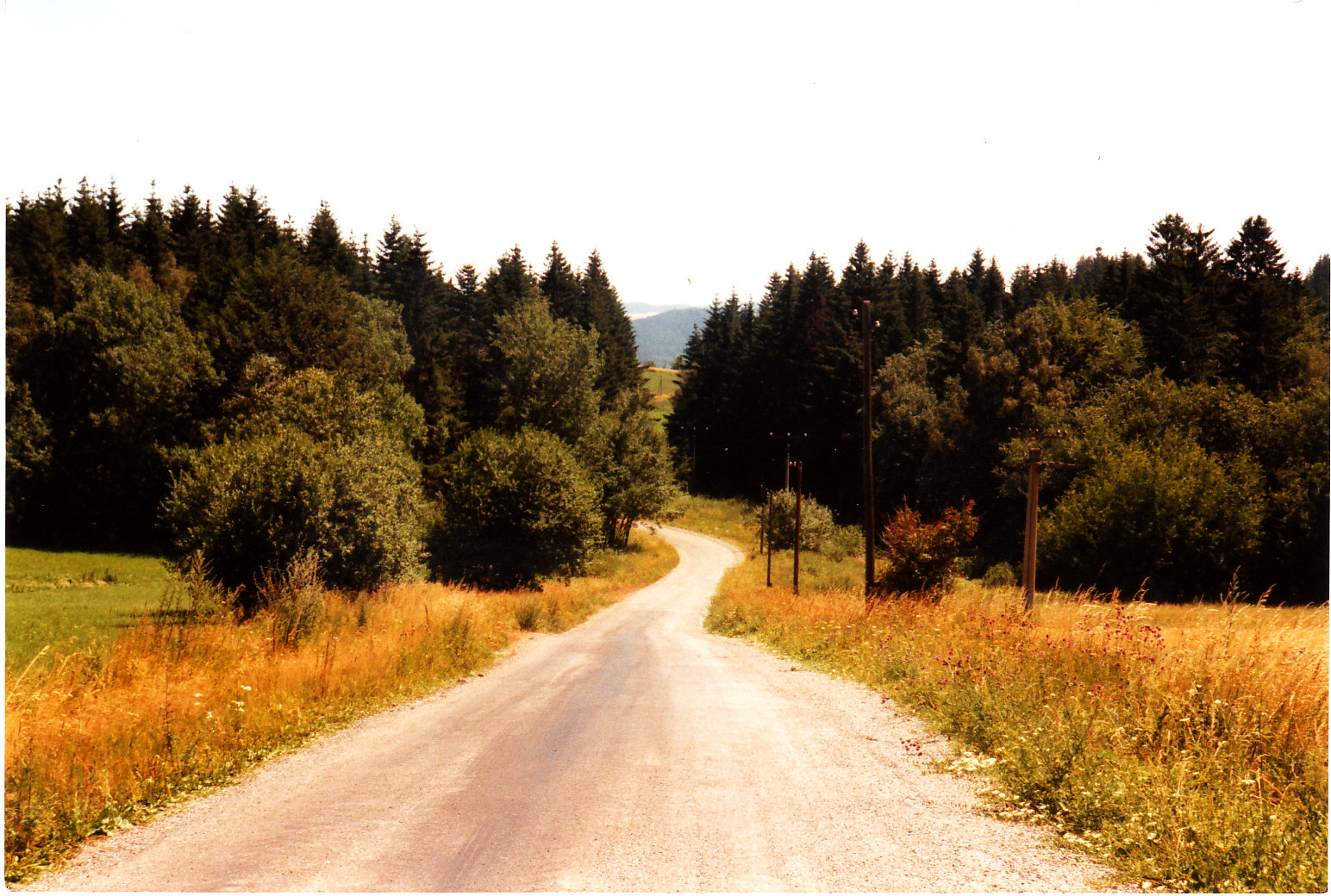 VESELI A OKOLI_0004.jpg