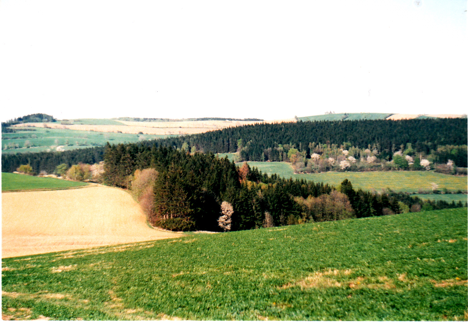 VESELI A OKOLI_0001.jpg