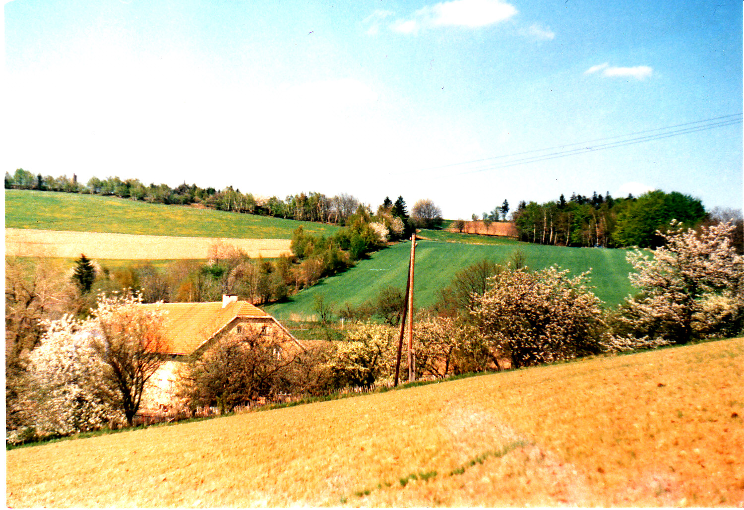 VESELI A OKOLI_0003.jpg