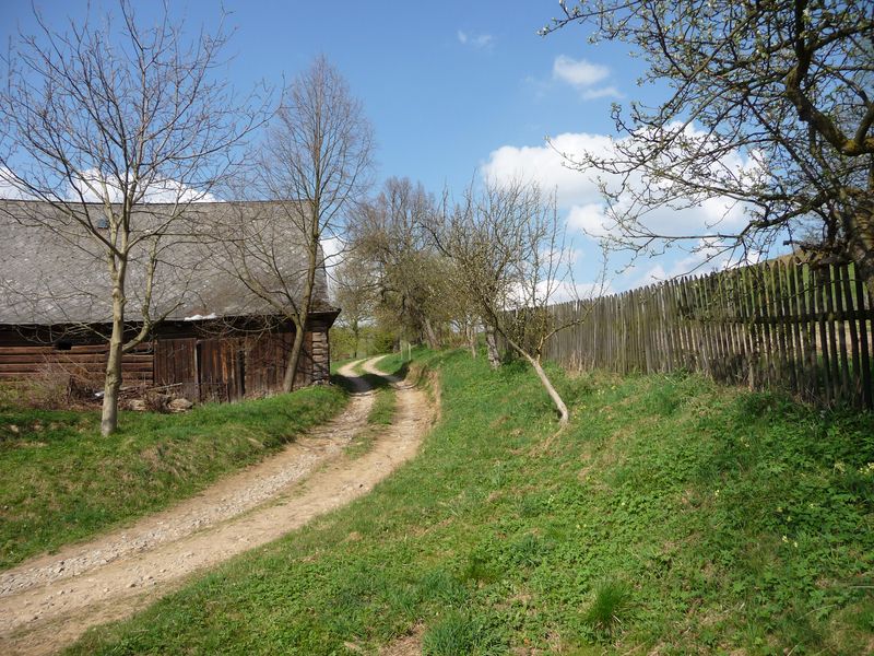 P1000067.JPG