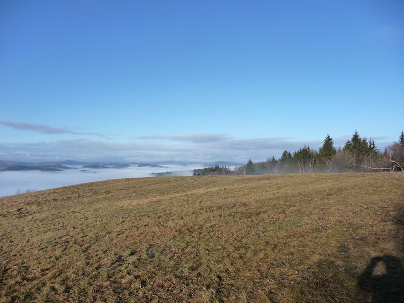 P1000599.JPG