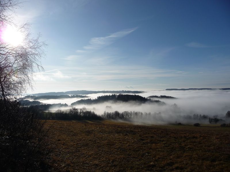 P1000605.JPG
